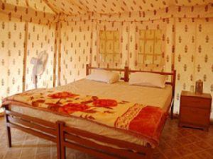 Jungle View Resort